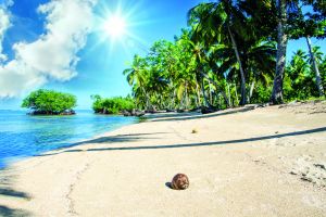 Die "schönste Zeit des Jahres" fängt bei Dir an.