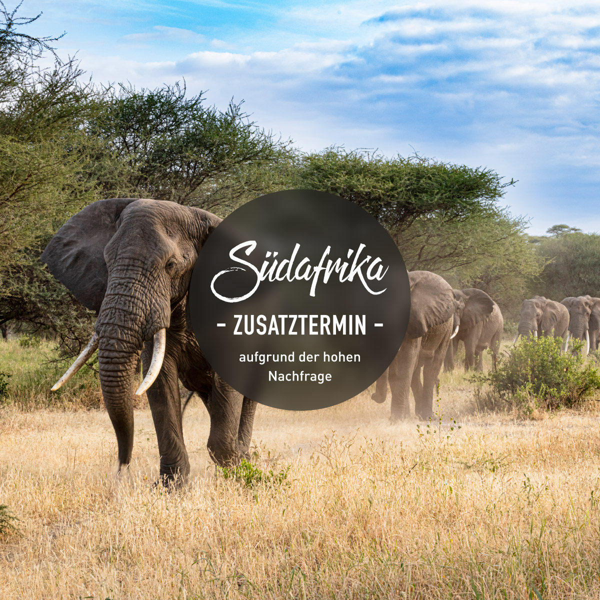 Südafrika - Zusatztermine -